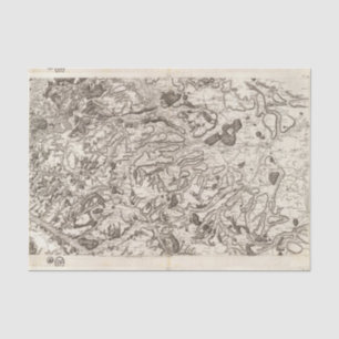 Saint Omer Tissue Paper