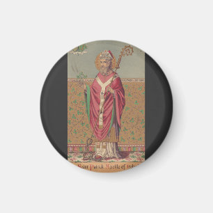Saint Patrick Apostle of Ireland Magnet