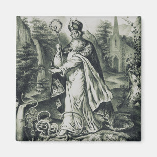 Saint Patrick patron of Ireland Magnet