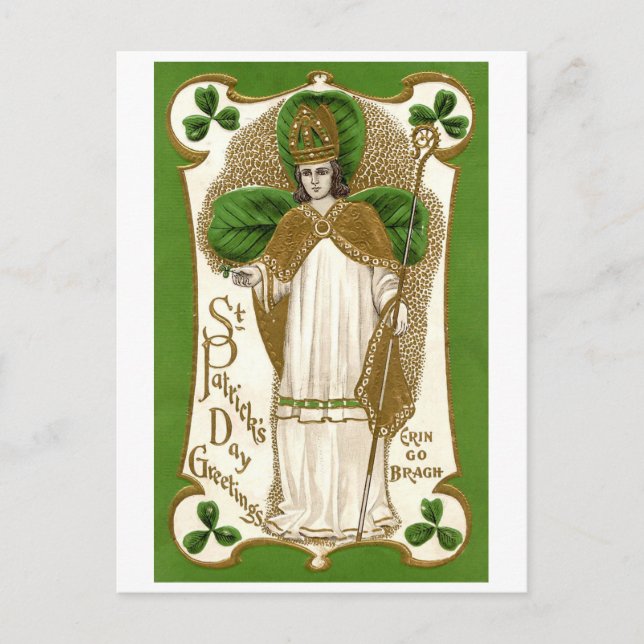 Saint Patrick, Shamrock Postcard (Front)