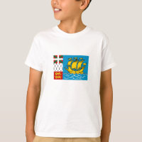 Saint Pierre and Miquelon Flag