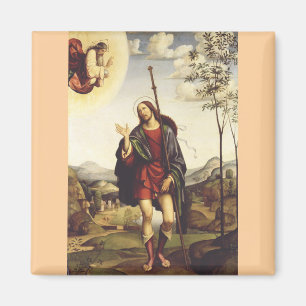 Saint Roch by Francesco Francia  Magnet