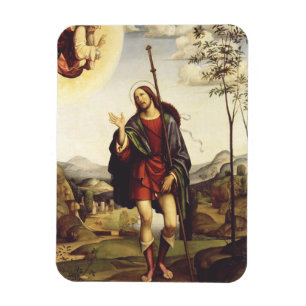 Saint Roch by Francesco Francia  Magnet