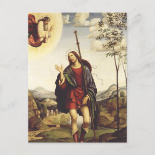 Saint Roch by Francesco Francia  Postcard