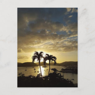 Saint Thomas Postcard