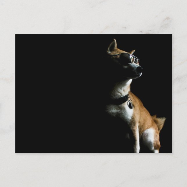 Saké Suave Postcard (Front)