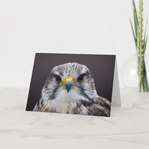 Saker Falcon greetings card, blank inside. Card