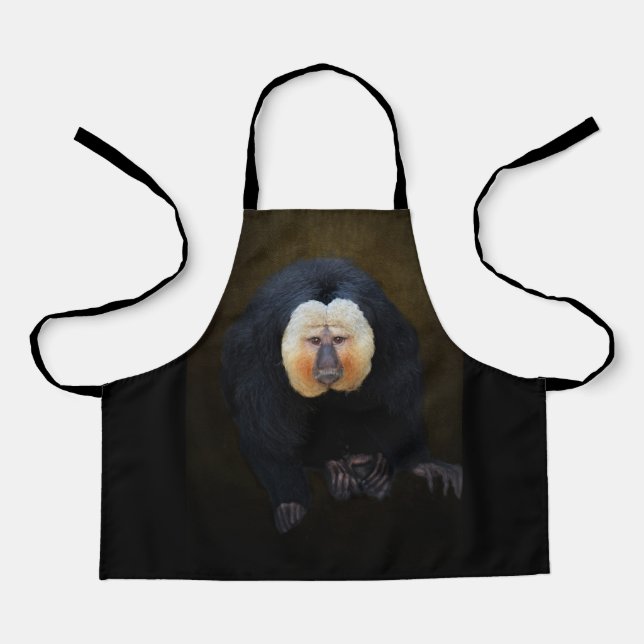 Saki  apron (Front)