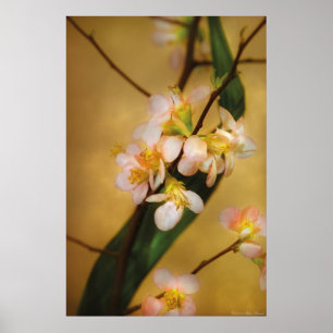 Sakura - A touch of spring Poster