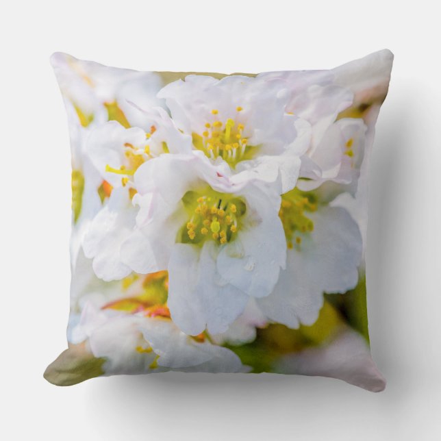 Sakura Blossom Cushion (Front)