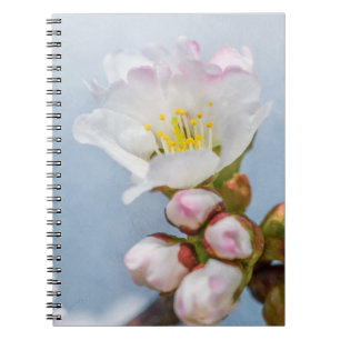 Sakura Blossom Spiral Notebook