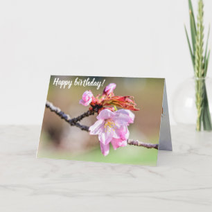 Sakura Buds And A Flower, Green, Beige Background Card
