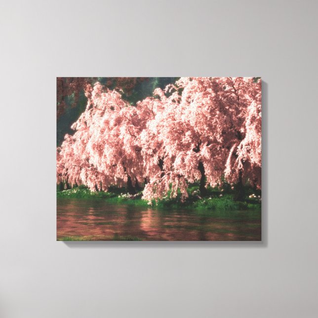 Sakura Canvas Print (Front)
