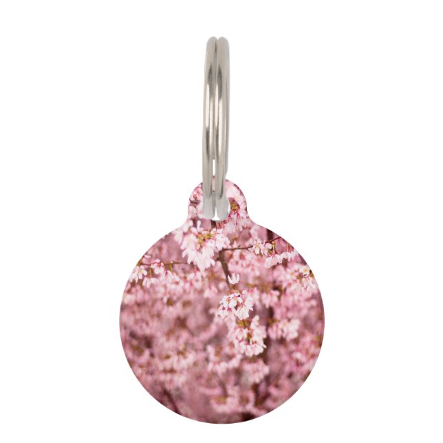 Sakura Cherry Blossom Pet Tag (Back)
