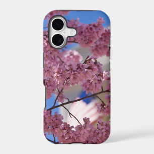 Sakura Cherry Blossoms Americana