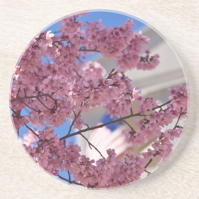 Sakura Cherry Blossoms Americana Coaster (Front)