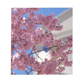 Sakura Cherry Blossoms Americana Notepad