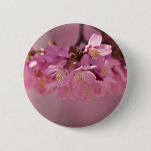 Sakura Cherry Blossoms Delicate Pink Bouquet 6 Cm Round Badge