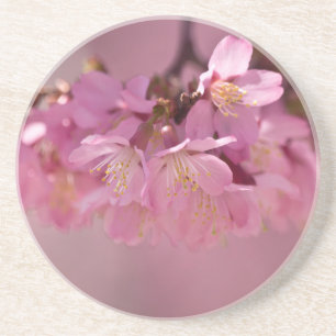 Sakura Cherry Blossoms Delicate Pink Bouquet Coaster