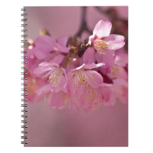 Sakura Cherry Blossoms Delicate Pink Bouquet Spiral Notebook