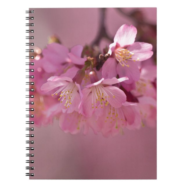 Sakura Cherry Blossoms Delicate Pink Bouquet Spiral Notebook (Front)