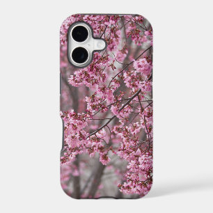 Sakura Cherry Blossoms Flowing Pink