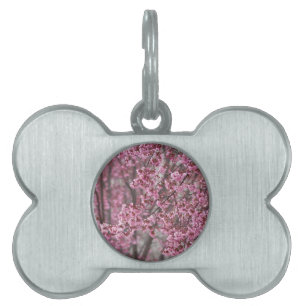 Sakura Cherry Blossoms Flowing Pink Pet Name Tag