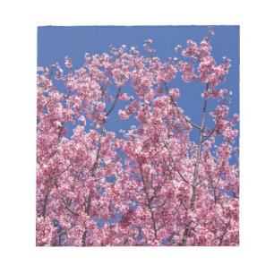 Sakura Cherry Blossoms Into The Blue Notepad