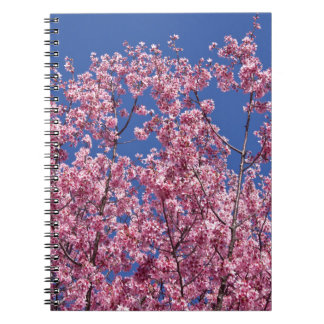 Sakura Cherry Blossoms Into The Blue Spiral Notebook