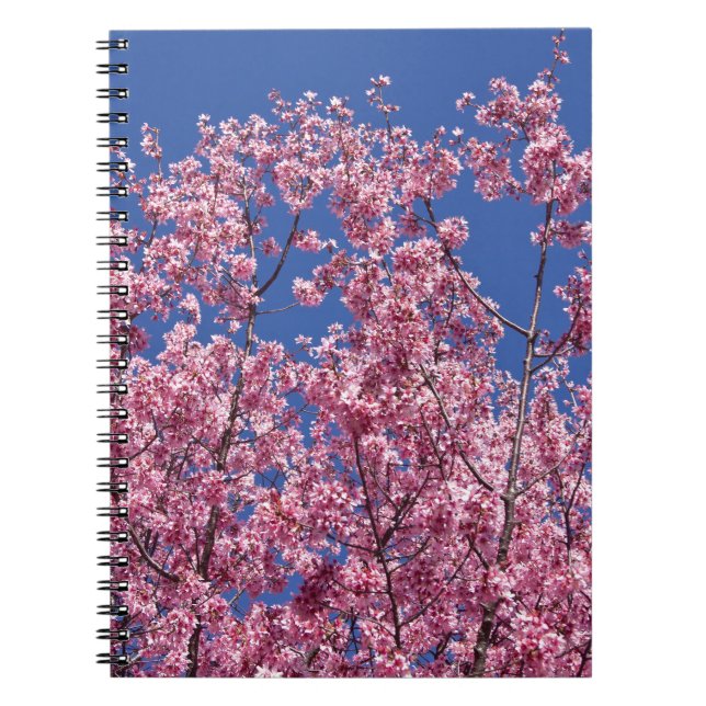 Sakura Cherry Blossoms Into The Blue Spiral Notebook (Front)