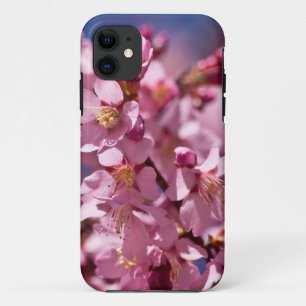 Sakura Cherry Blossoms Kissed by Sunlight Case-Mate iPhone Case
