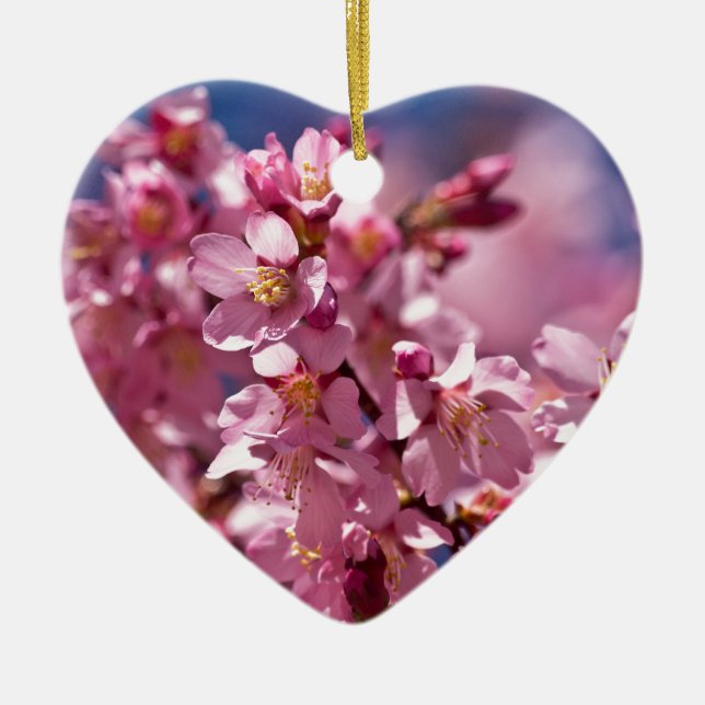 Sakura Cherry Blossoms Kissed by Sunlight Ceramic Tree Decoration (Front)