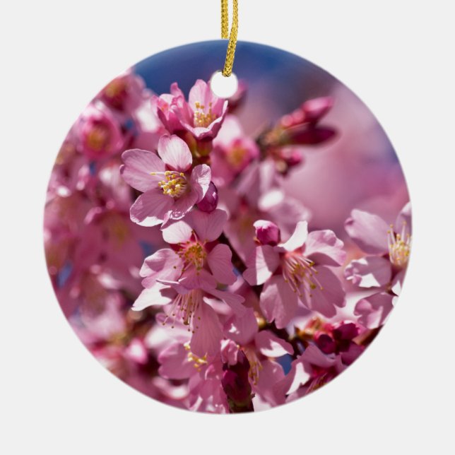Sakura Cherry Blossoms Kissed by Sunlight Ceramic Tree Decoration (Front)