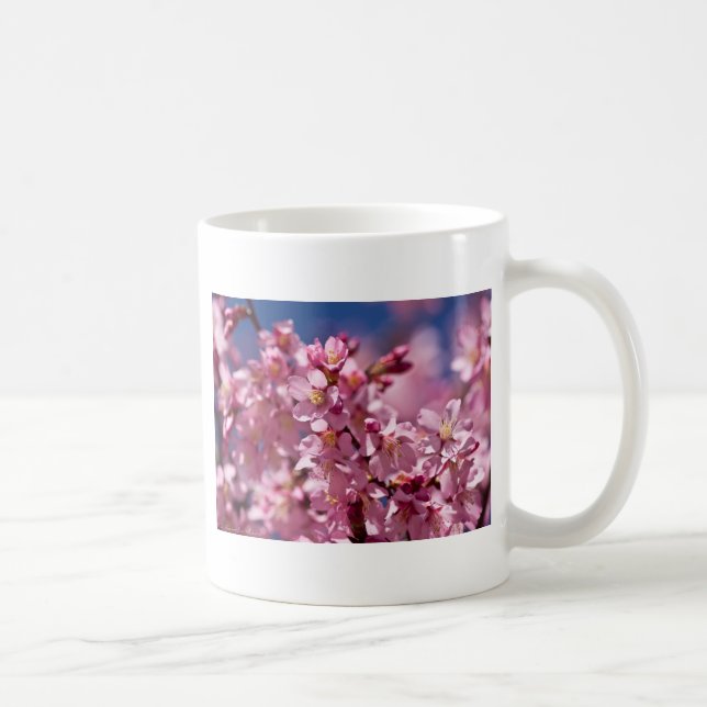 Sakura Cherry Blossoms Kissed by Sunlight Coffee Mug (Right)