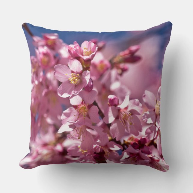 Sakura Cherry Blossoms Kissed by Sunlight Cushion (Front)