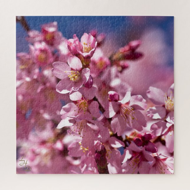 Sakura Cherry Blossoms Kissed by Sunlight Jigsaw Puzzle (Vertical)