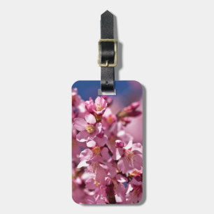 Sakura Cherry Blossoms Kissed by Sunlight Luggage Tag
