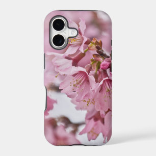 Sakura Cherry Blossoms Pale Pink