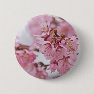 Sakura Cherry Blossoms Pale Pink 6 Cm Round Badge