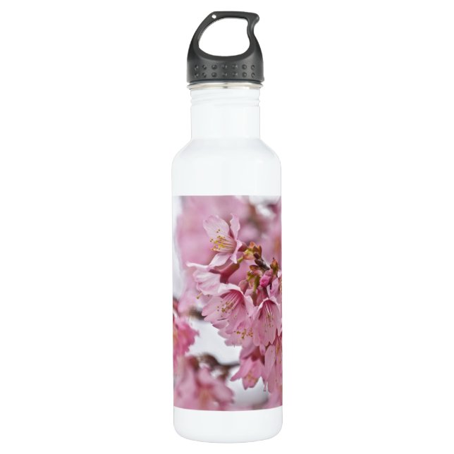 Sakura Cherry Blossoms Pale Pink 710 Ml Water Bottle (Front)