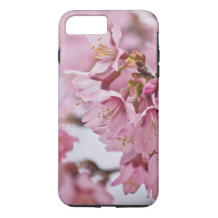 Sakura Cherry Blossoms Pale Pink Case-Mate iPhone Case