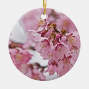 Sakura Cherry Blossoms Pale Pink Ceramic Tree Decoration