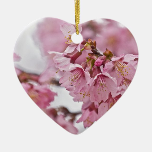 Sakura Cherry Blossoms Pale Pink Ceramic Tree Decoration (Front)