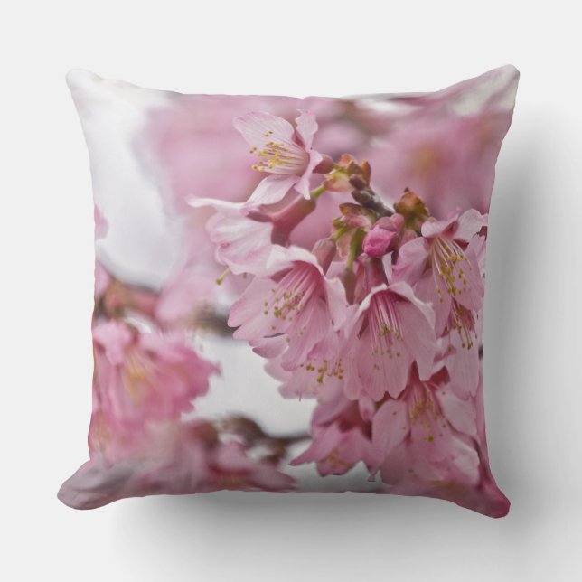 Sakura Cherry Blossoms Pale Pink Cushion (Front)