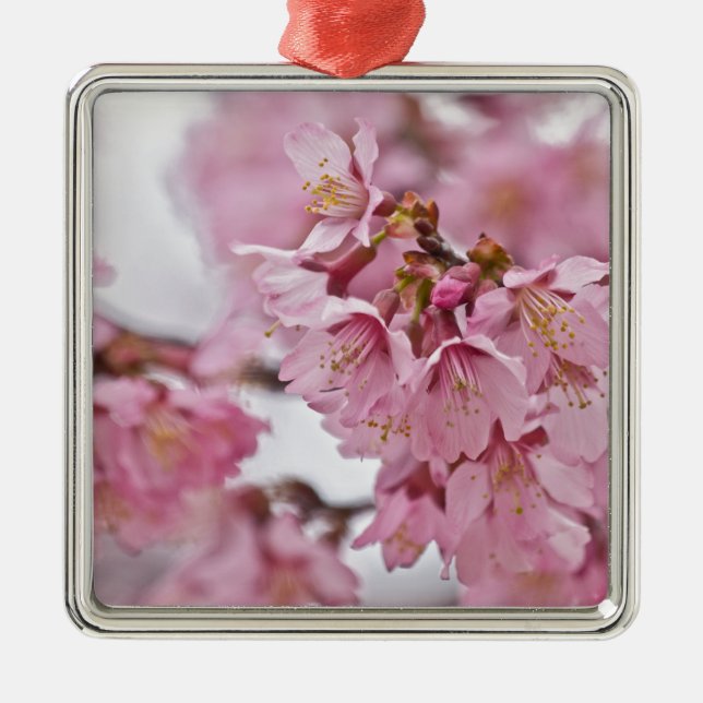 Sakura Cherry Blossoms Pale Pink Metal Tree Decoration (Front)