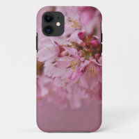 Sakura Cherry Blossoms Pale Pink Reflections