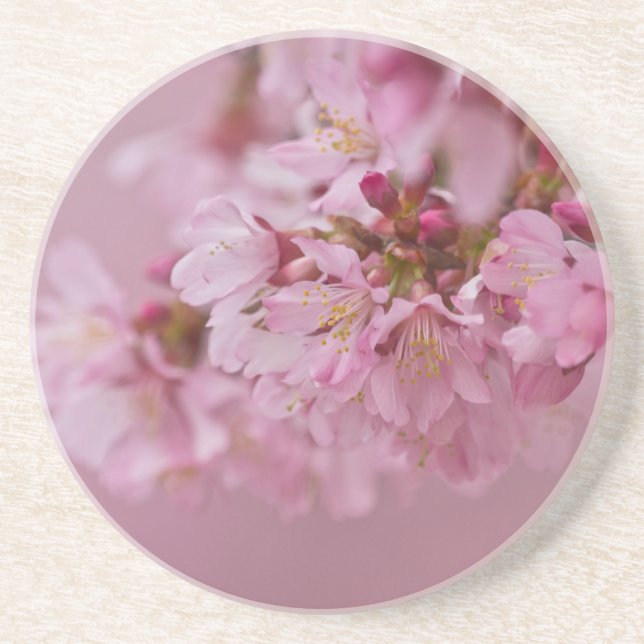 Sakura Cherry Blossoms Pale Pink Reflections Coaster (Front)
