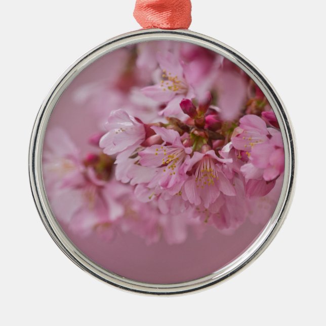 Sakura Cherry Blossoms Pale Pink Reflections Metal Tree Decoration (Front)