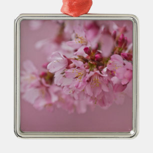 Sakura Cherry Blossoms Pale Pink Reflections Metal Tree Decoration