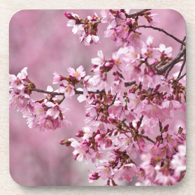 Sakura Cherry Blossoms Pastel Pink Layers Coaster (Front)